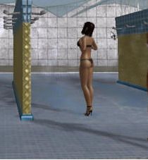 3dshower.jpg